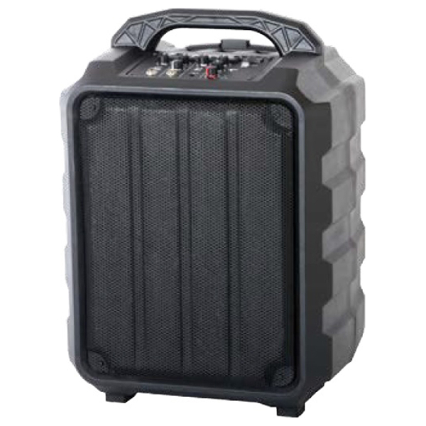 Leem PR-6 Акустическая система портативная 25Вт