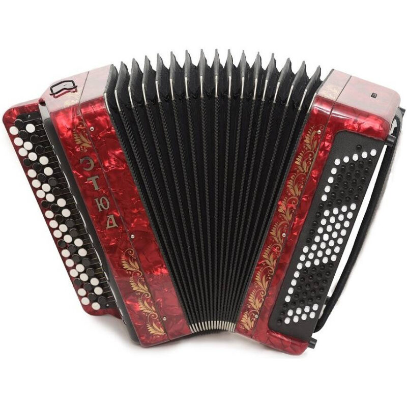 Баян ученический двухголосный Этюд-205М2 55х100-II "Тульская гармонь"