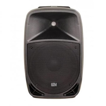 LEEM PR-12HR Акустическая система с 2 микрофонами, аккумуляторная