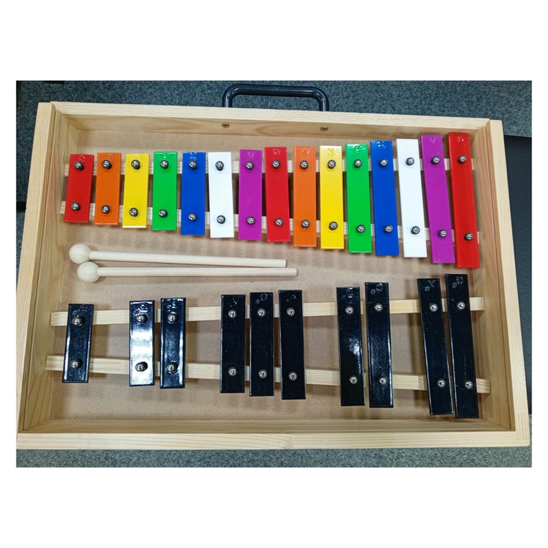 TAM-TAM L25C Металлофон хроматический C-A 25 нот, черно-разноцветный пластины