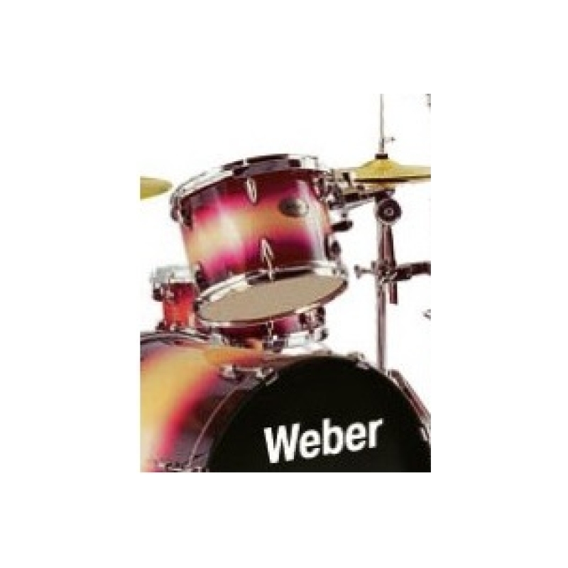 WEBER Aspect Tom Навесной том 10"