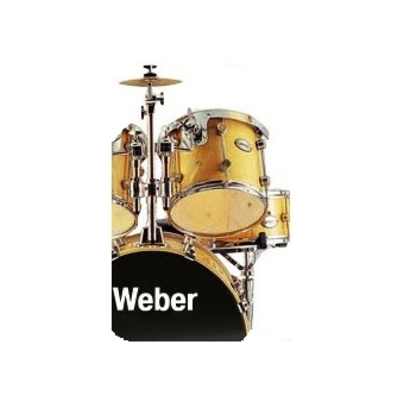 WEBER TT12P Performance Том-барабан 12" навесной, берёза/клен